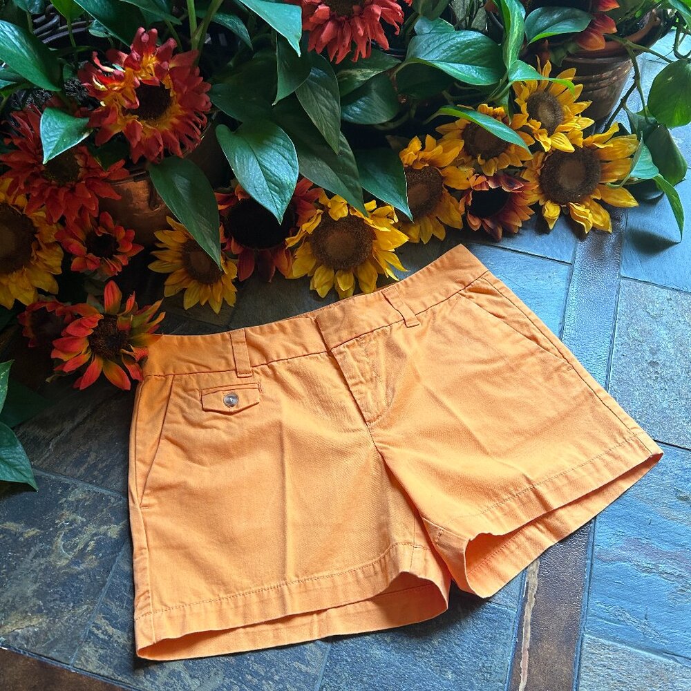 Ann Taylor LOFT Tailored Shorts in Melon/Tangerine (NEW)